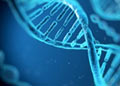 Mostra DNA. Il grande libro della vita da Mendel alla genomica